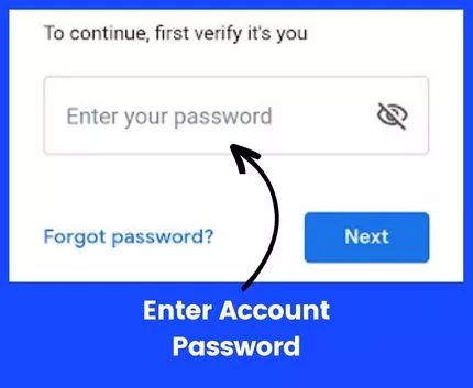 Two-Step Verification - enter the password